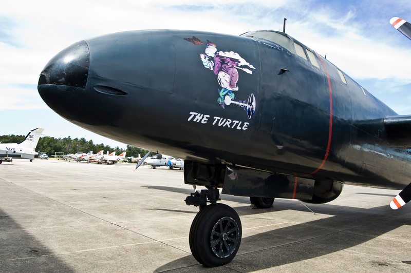 The Turtle artwork is a modern replica of the original paint job.... this in an era where planes had names and mascots